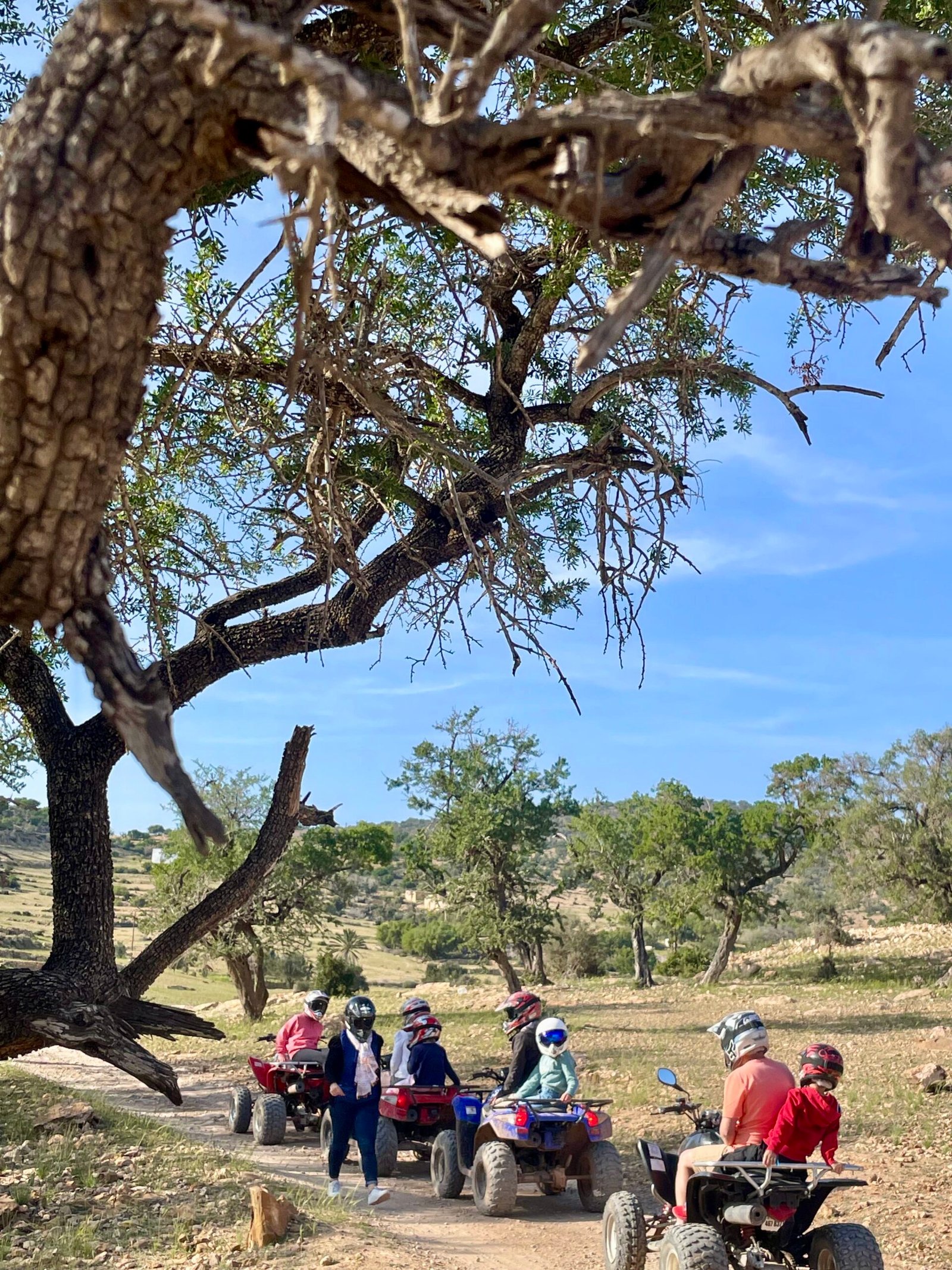 Tour image