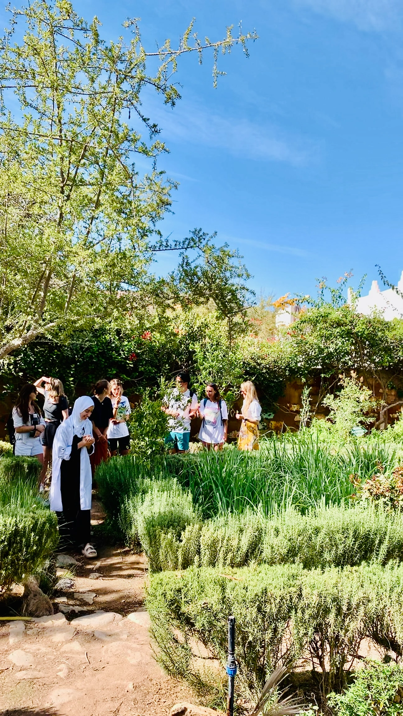 Tour image