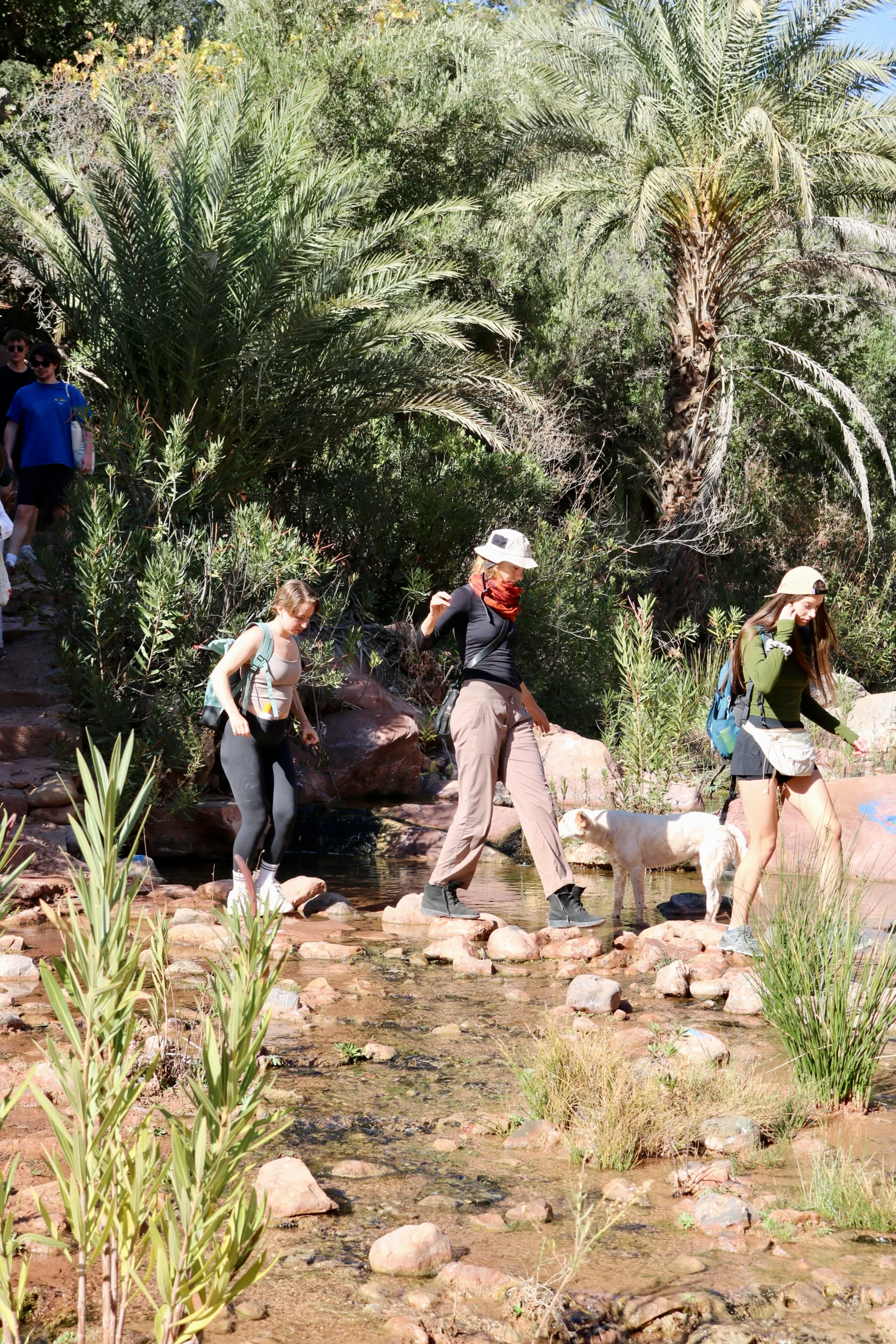 Tour image